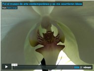 Fui al museo de arte contemporáneo y se me ocurrieron ideas